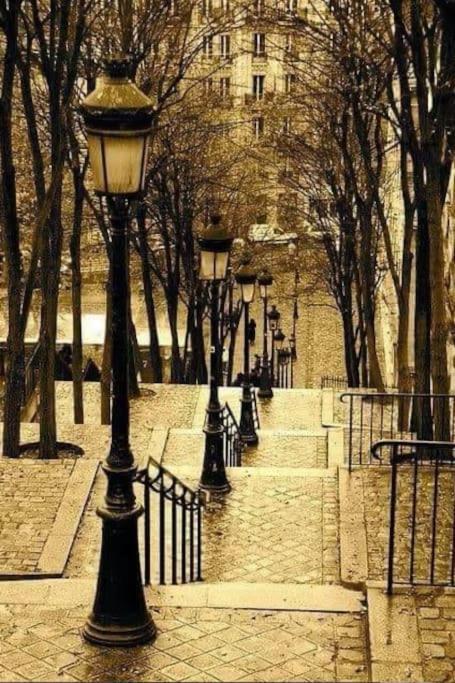 Montmartre En Rez-de-jardin Appartement Paris