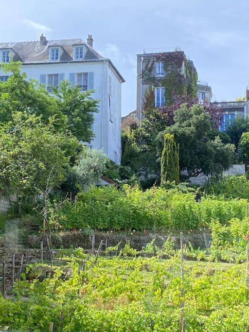 Montmartre En Rez-de-jardin * Parijs